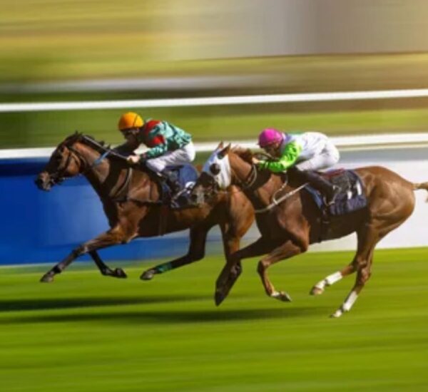 useful tips and main information about Sports betting winning chances increasing in India