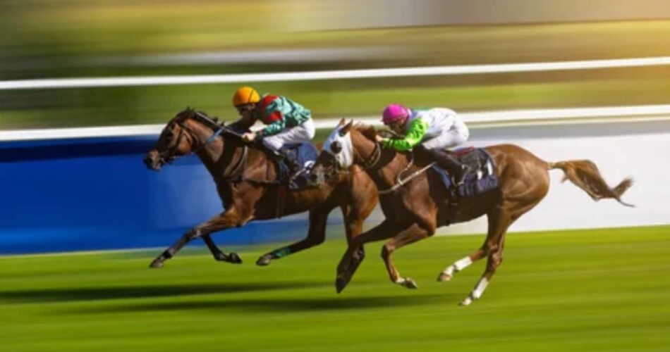 useful tips and main information about Sports betting winning chances increasing in India