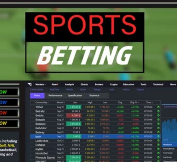 What to look for when choosing a betting site in India