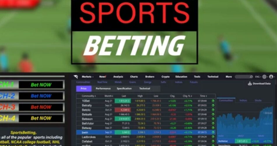 What to look for when choosing a betting site in India