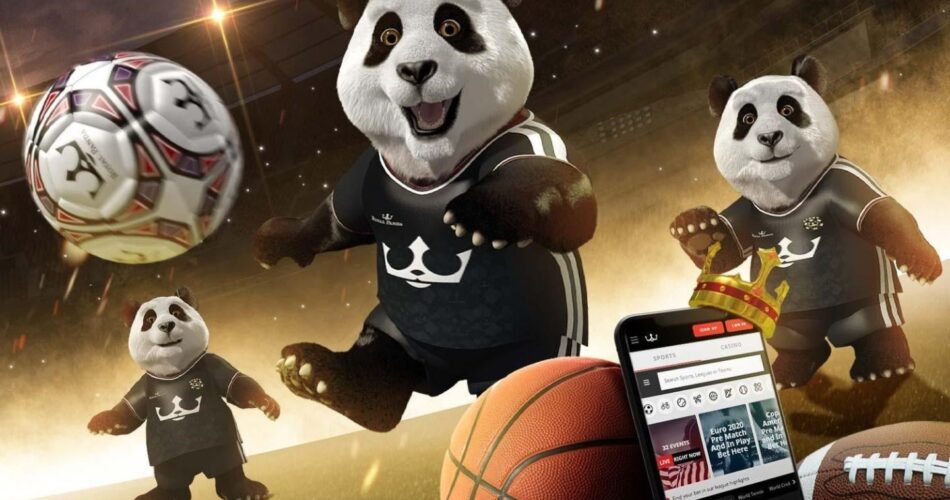 How to use sportsbook at Royal Panda in India guide